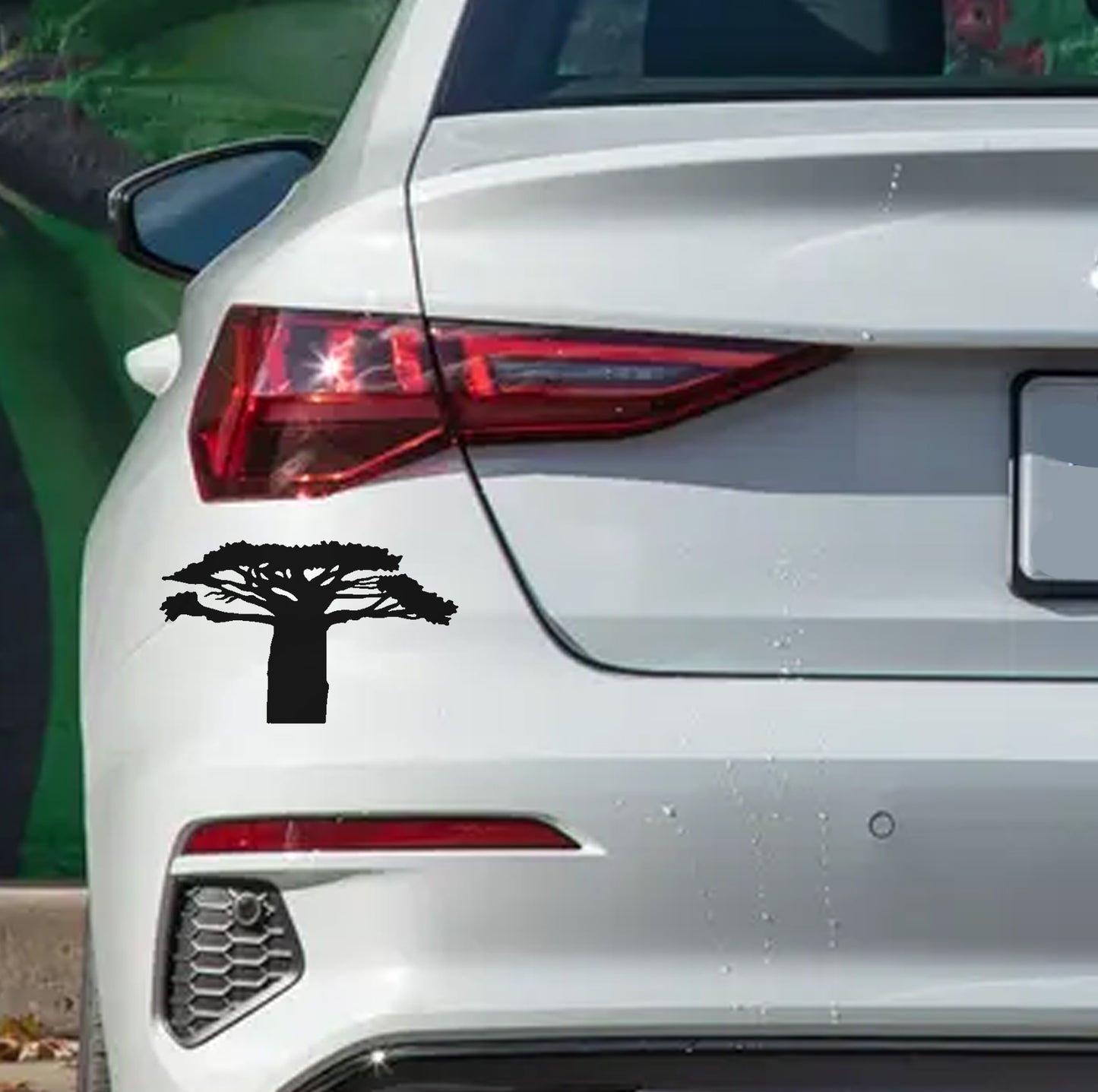 African Baobab Tree Boom V6 Car Wall Decal Sticker Art South Africa