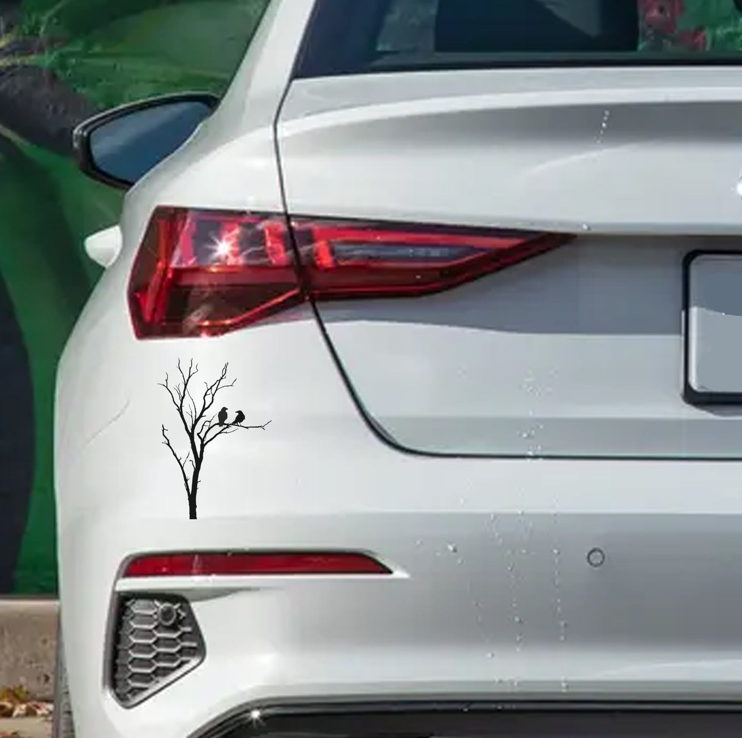 African Acacia Tree Boom V10 Car Wall Decal Sticker Art South Africa