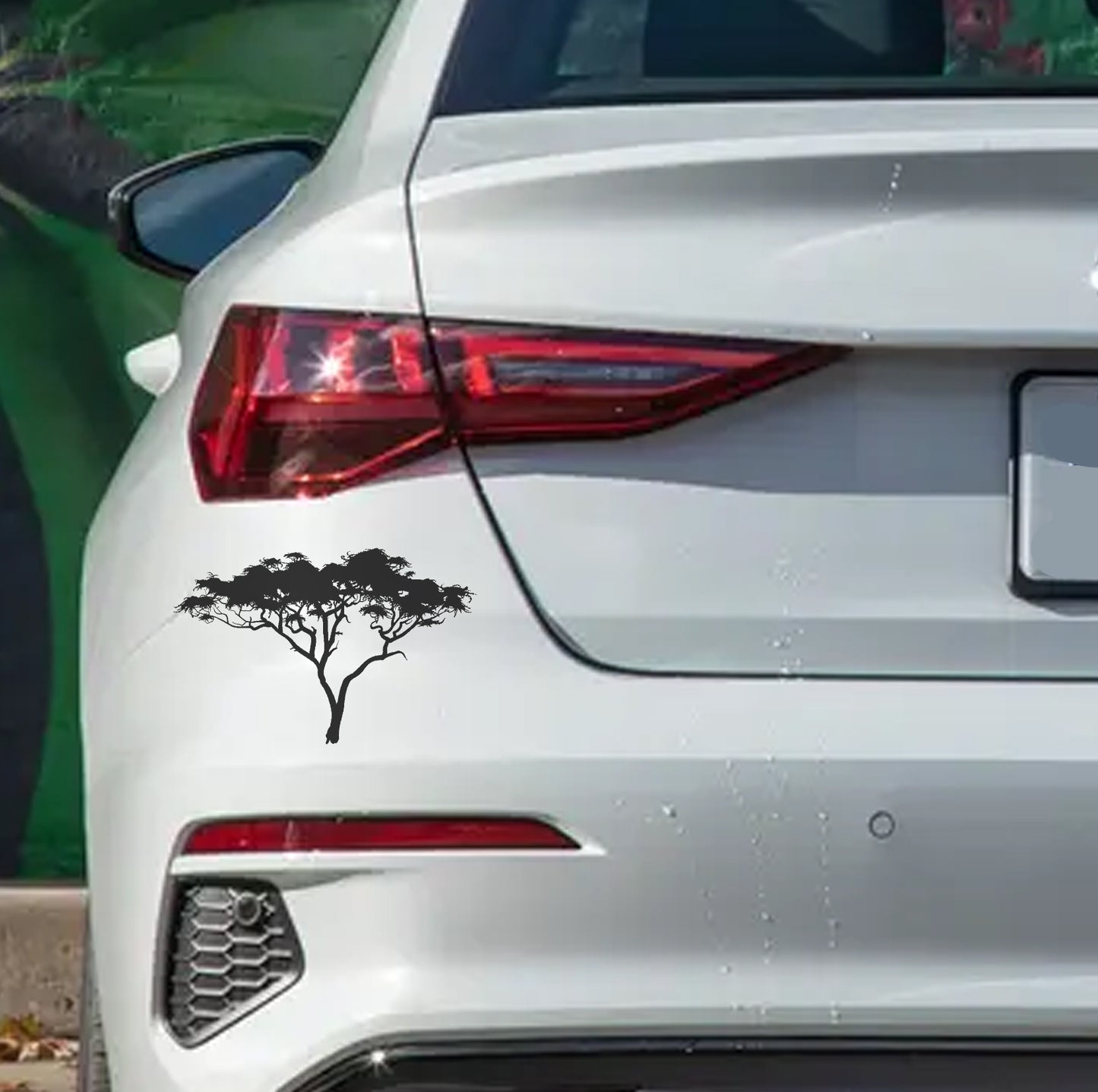 African Acacia Tree V1 Car Wall Decal Sticker Art South Africa