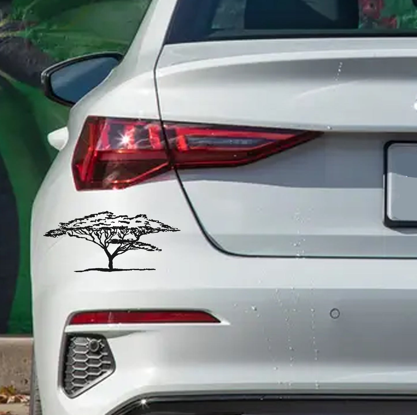 African Acacia Tree Boom V5 Car Wall Decal Sticker Art South Africa