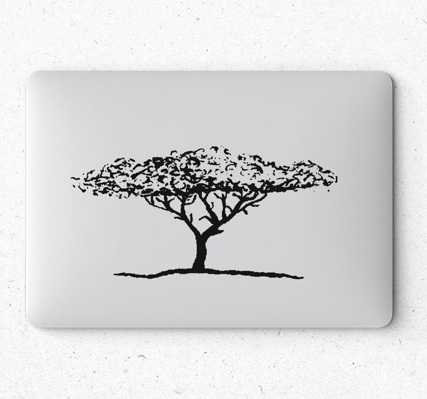 African Acacia Tree Boom V7 Car Wall Decal Sticker Art South Africa