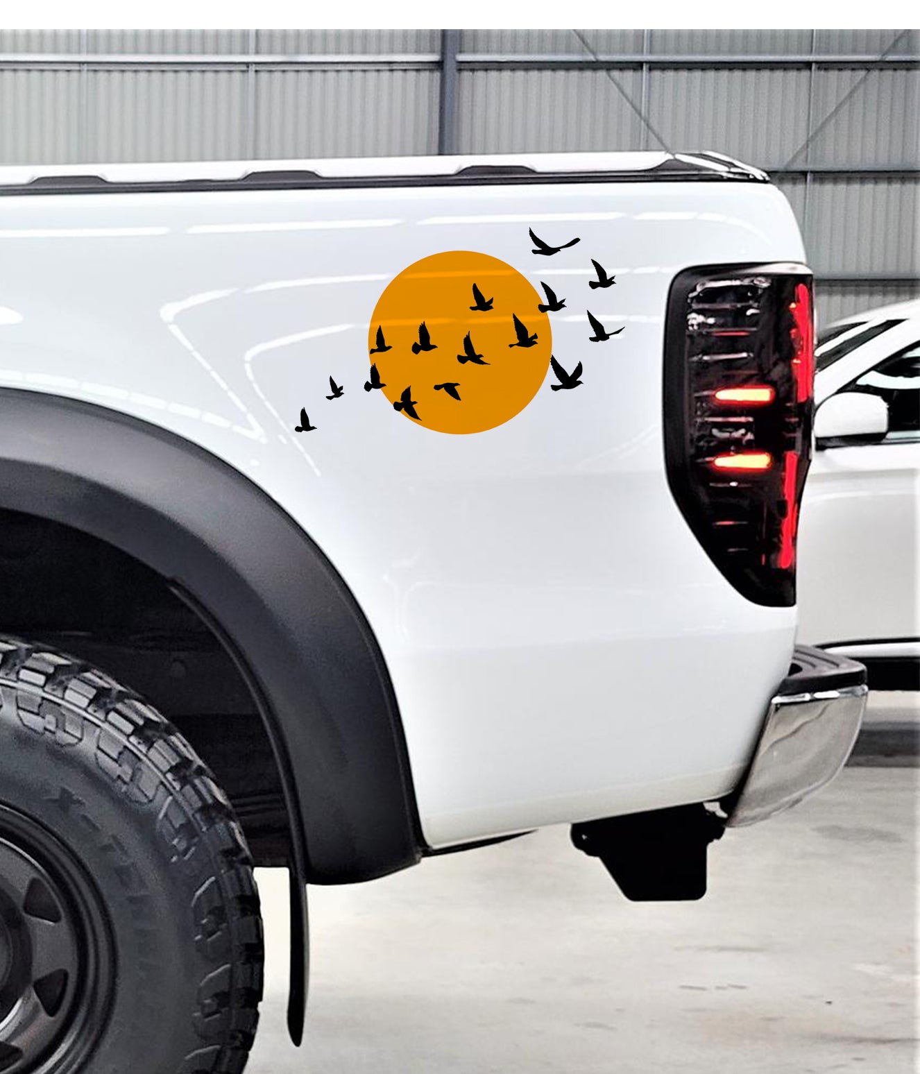 African Birds Voëls Sun Bakkie Car Wall Vinyl Decal Sticker Kuns SA