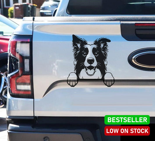 Border Collie Skaaphond Dog Hond V1 Car Wall Decal Sticker Art South Africa Vinyl Stickers