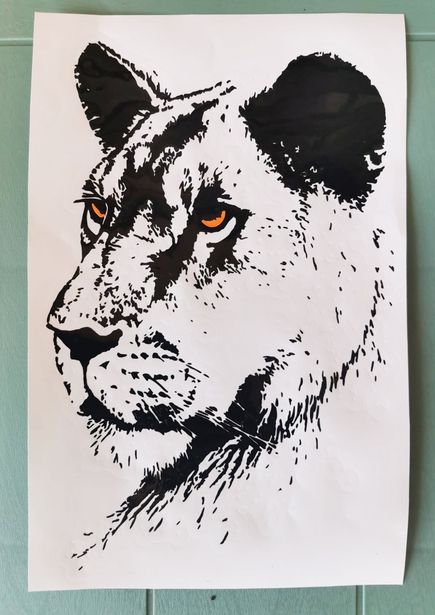 Lioness Leeu Wyfie Bakkie Car Vehicle Vinyl Wall Decal Sticker Art