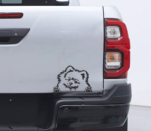 Pomeranian Pom Dog Hond V2 Car Wall Decal Sticker Art South Africa