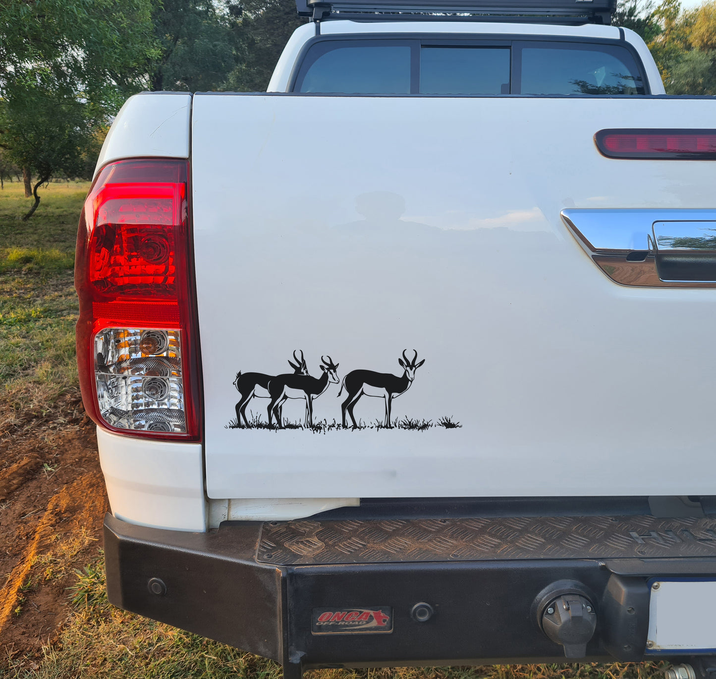 Springbok V4 Car Wall Decal Sticker Art South Africa