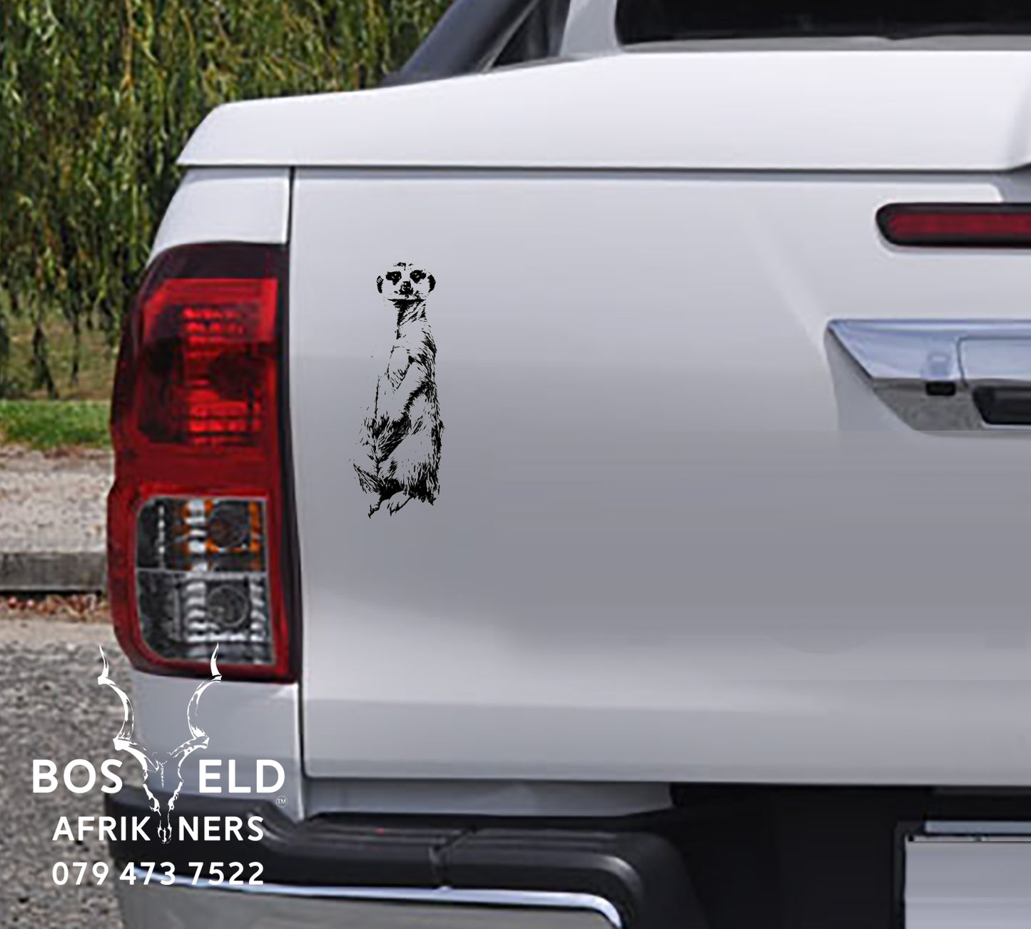 Meerkat Suricata Vinyl Decal Sticker