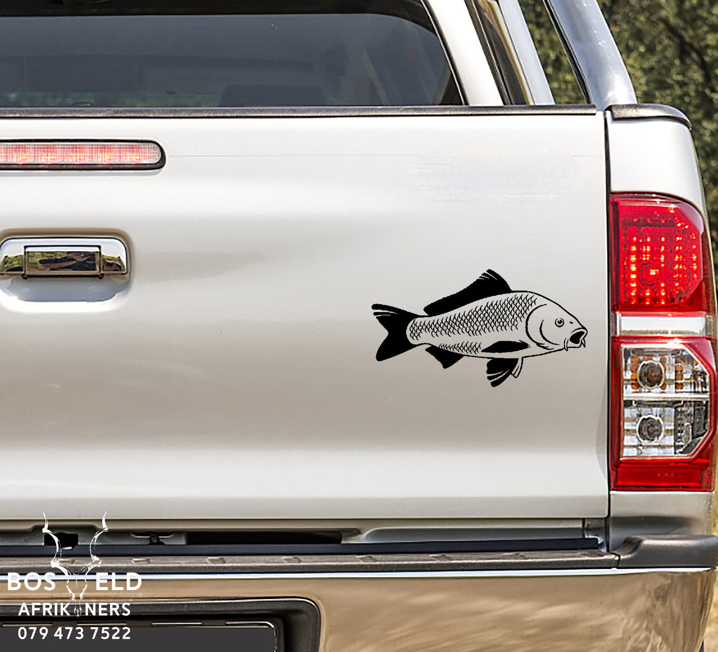 Common Carp Fish Karp Vis Vinyl Decal Sticker