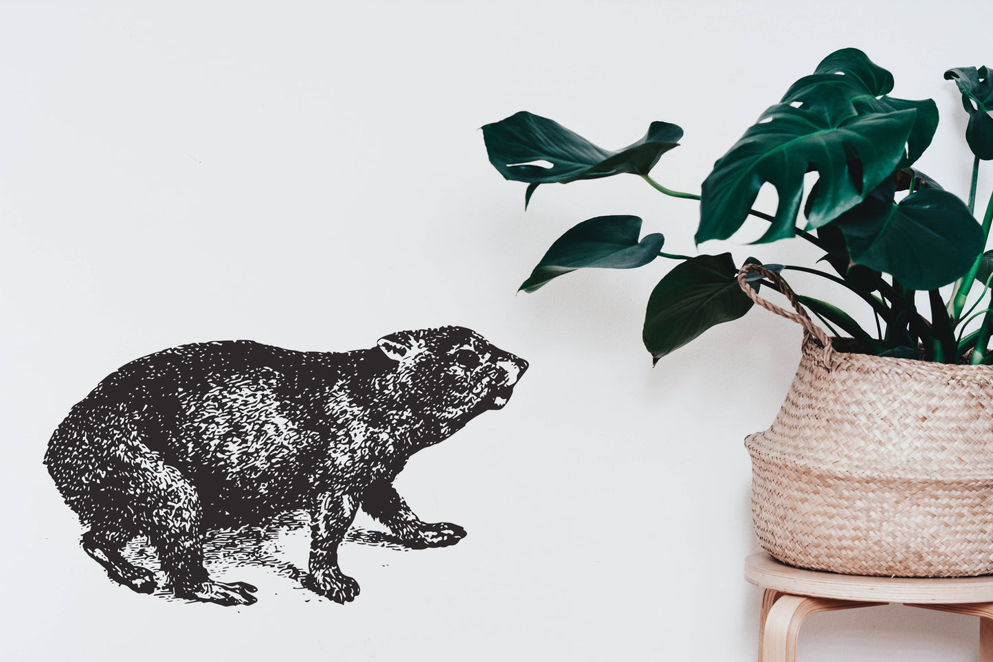 Dassie Hyrax Animal Bakkie, Wall, Kitchen, Lounge, Bathroom Western Cape Vinyl Decal Sticker Decor