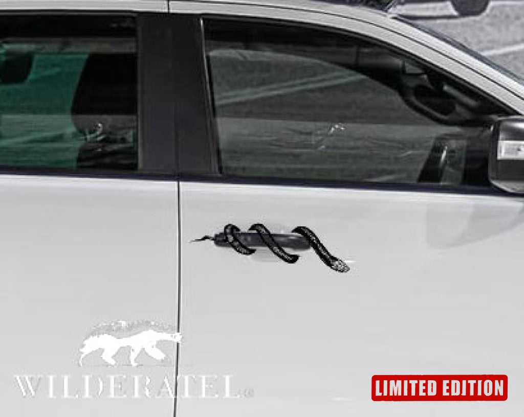 African Boomslang Tree Snake Vehicle Bakkie Vinyl Decal Sticker