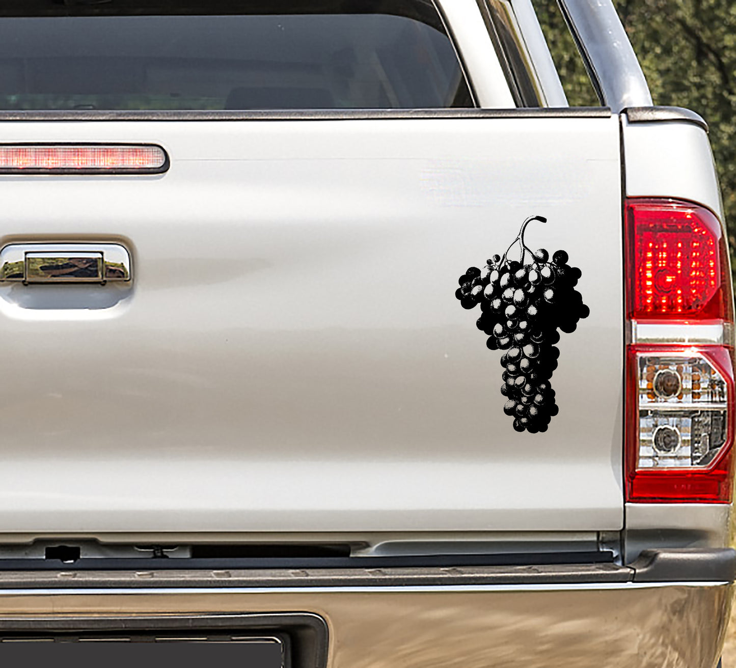 Vineyard Winery Grapes Bakkie, Wall, Kitchen, Lounge, Bathroom Western Cape Cape Town Vinyl Decal Sticker Decor