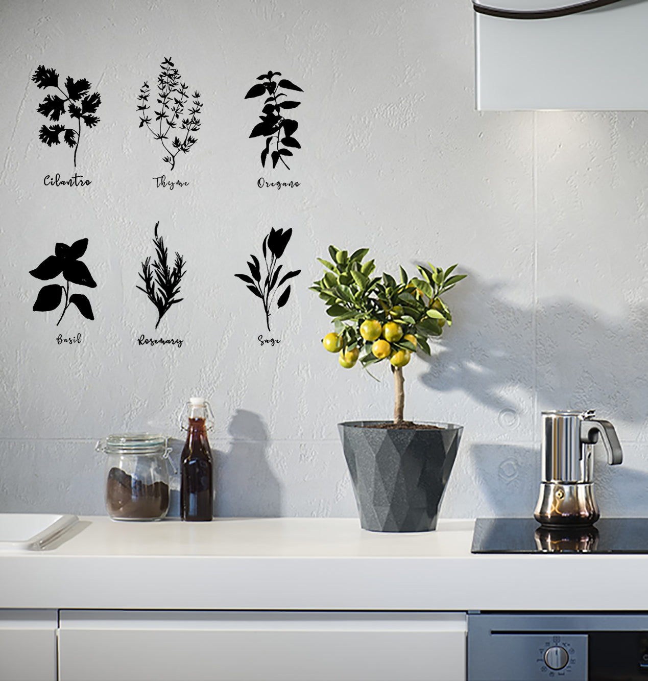 Cilantro, Thyme, Oregano, Basil, Rosemary, Sage Herb Spices Kitchen Kombuis Vinyl Decal Sticker Wall Art Decor