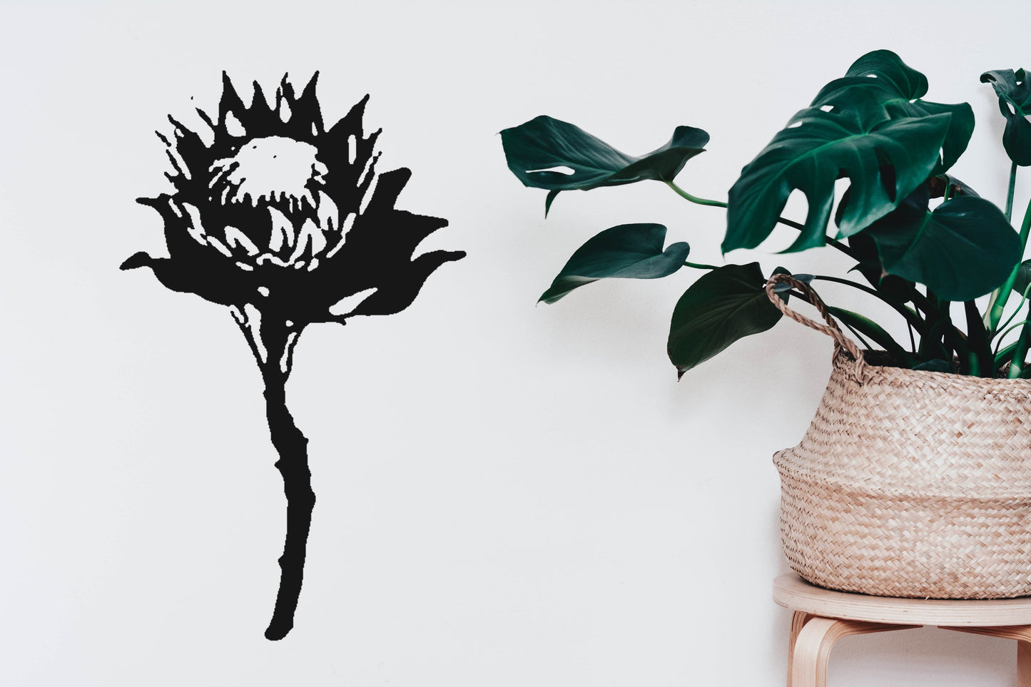 Protea Flower Blom Bakkie, Wall, Kitchen, Lounge, Bathroom Cape Town Western Cape Vinyl Decal Sticker Decor