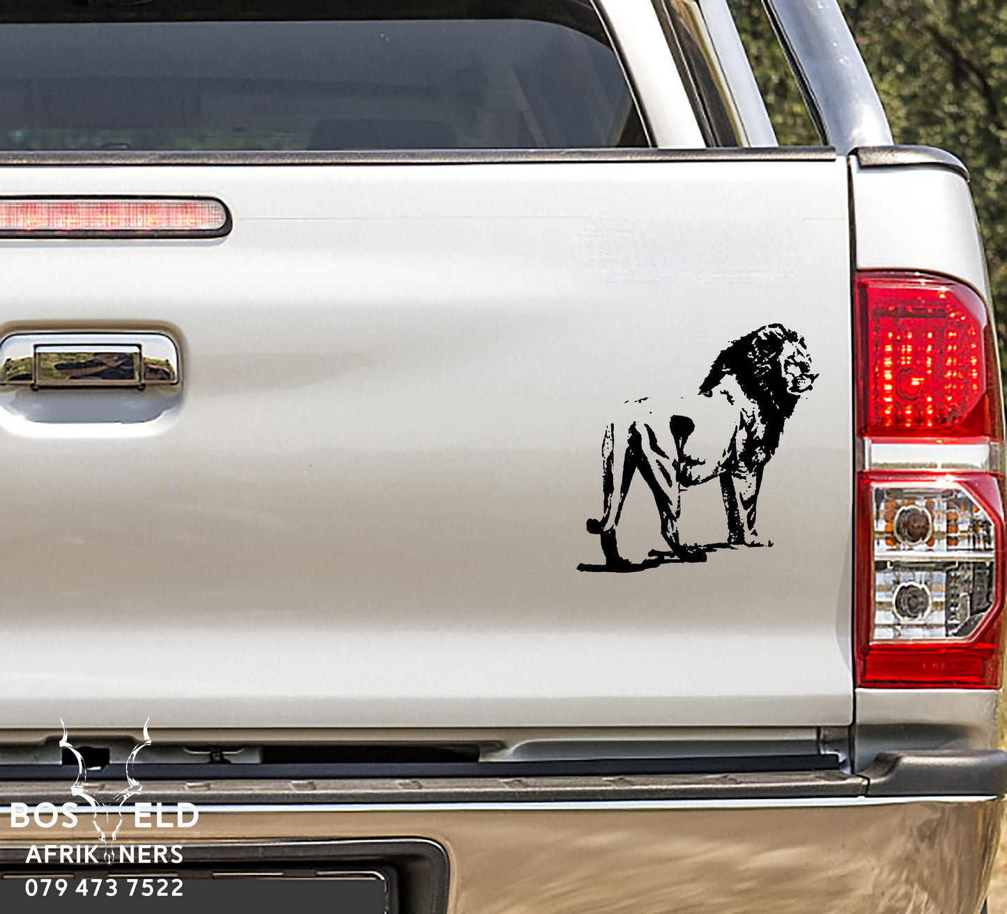 African Lion Leeu Body Vinyl Decal Sticker