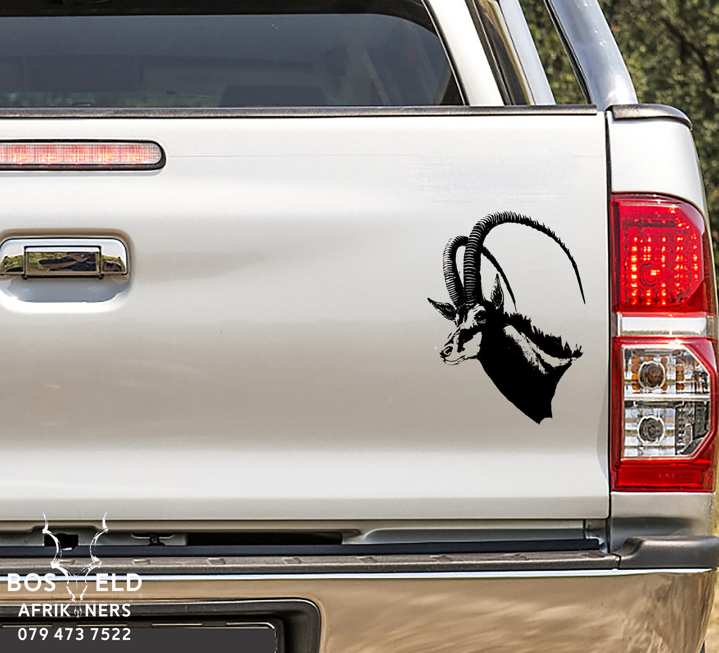 Sable Head Swartwitpens Kop - Bok - Antelope Vinyl Decal Sticker