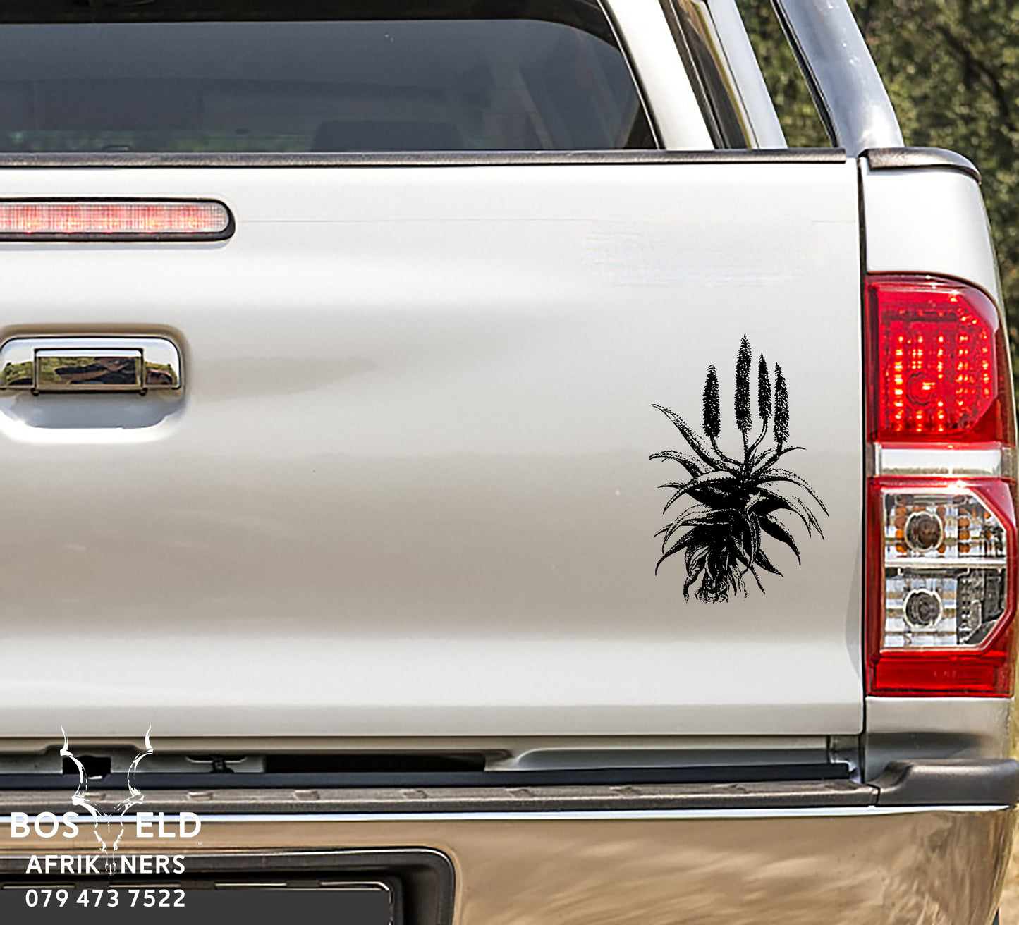 Dune Aloe - Strand Aloe - Strand - Aalwyn Vinyl Decal Sticker
