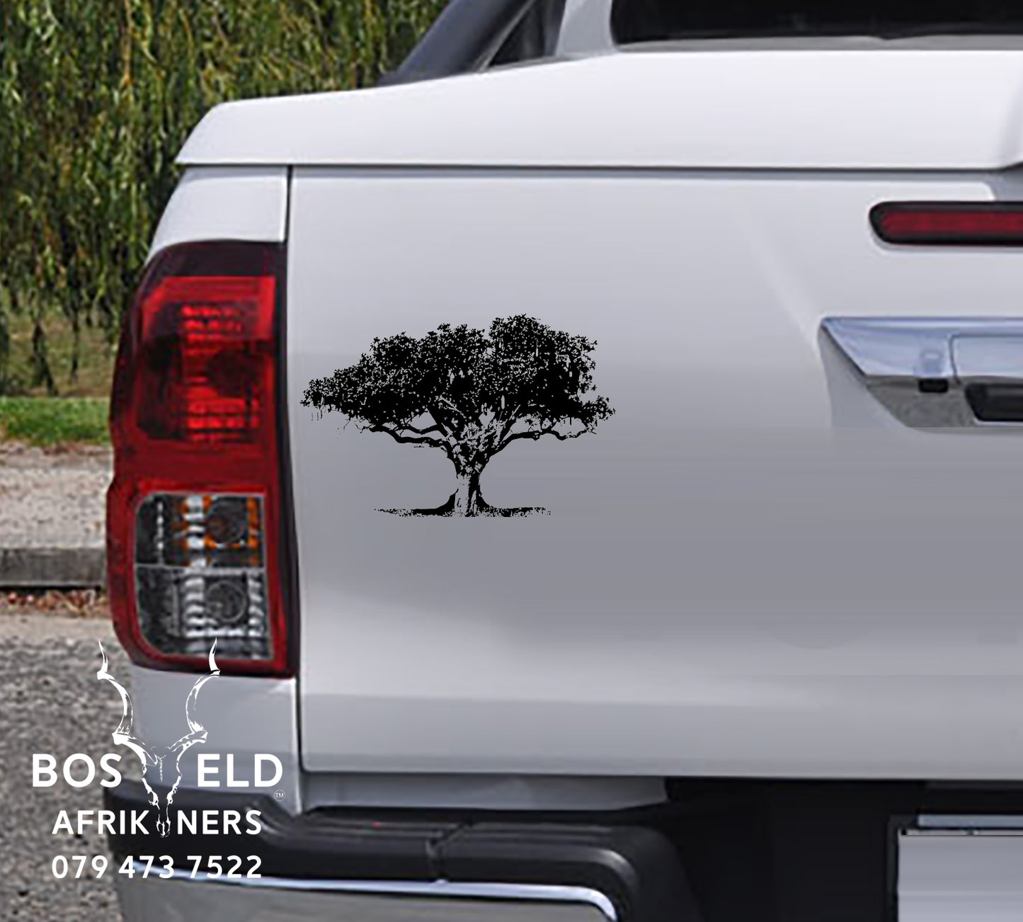 African Sausage Tree - Worsboom Vinyl Decal Sticker