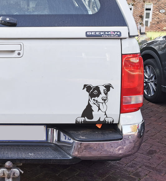 Jack Russel Dog Hond V1 Car Wall Decal Sticker Art South Africa