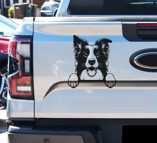 Border Collie Skaaphond Dog Hond V1 Car Wall Decal Sticker Art South Africa