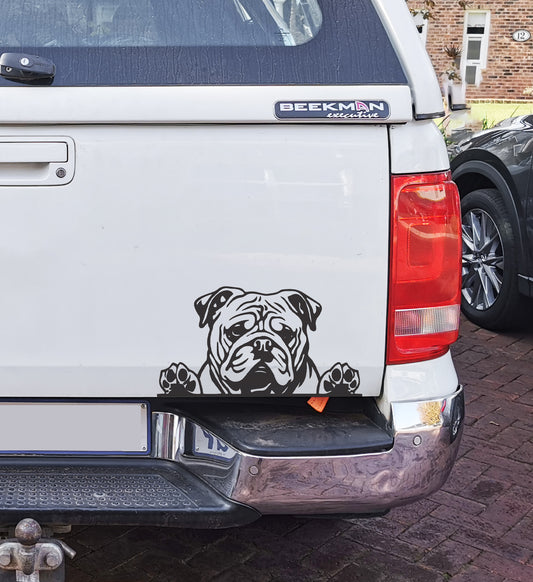 English Bull Dog Hond V3 Car Wall Decal Sticker Art South Africa