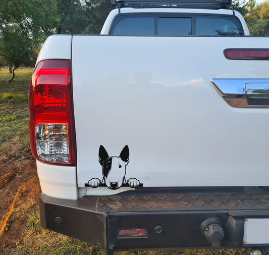 Bull Terrier Vark Hond Dog V4 Car Wall Decal Sticker Art South Africa