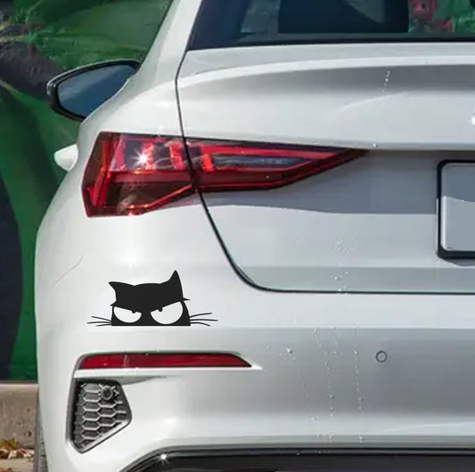 Cat Kitten Katjie Kat V2 Car Wall Decal Sticker Art South Africa