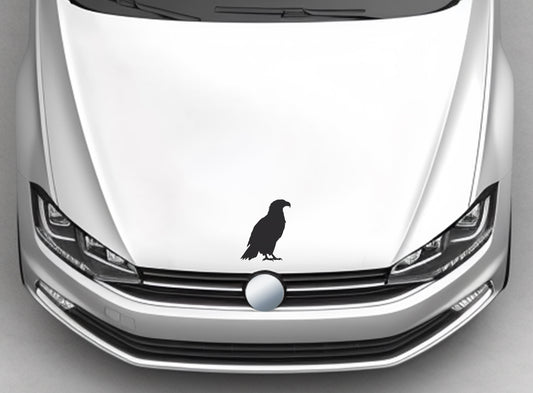 VW Volkswagen Polo Vivo Accessories Eagle #3 Decal Sticker