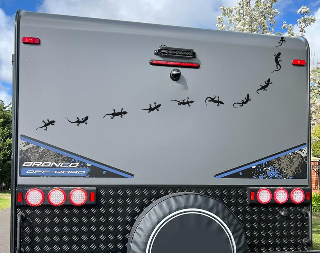 African Gecho Geitjie Bakkie Car Wall Vinyl Decal Sticker Kuns SA ...