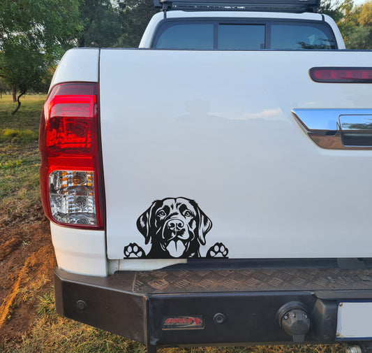 Labrador Hond V4 Dog Car Wall Decal Sticker Art South Africa