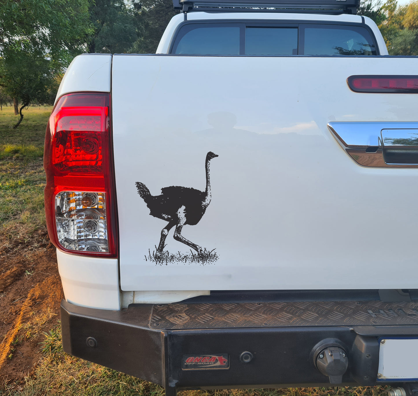 Ostrich Volstruis Car Wall Decal Sticker Art South Africa