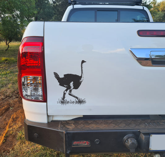 Ostrich Volstruis Car Wall Decal Sticker Art South Africa