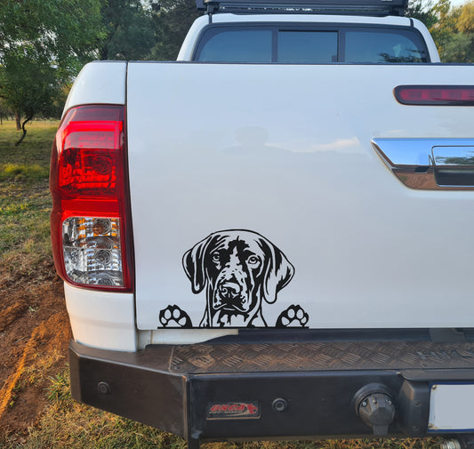 German Pointer Dog Hond V1 Wall Decal Sticker Art South Africa