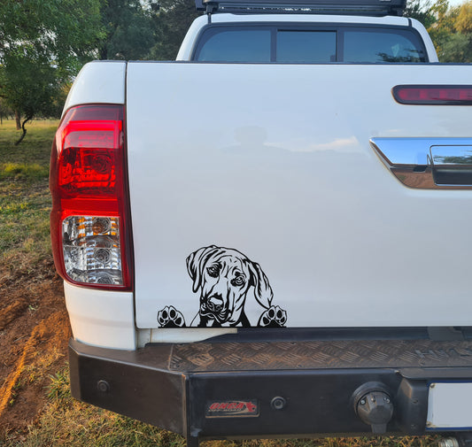 Rhodesian Ridgeback Hond Dog V3 Car Wall Decal Sticker Art South Africa