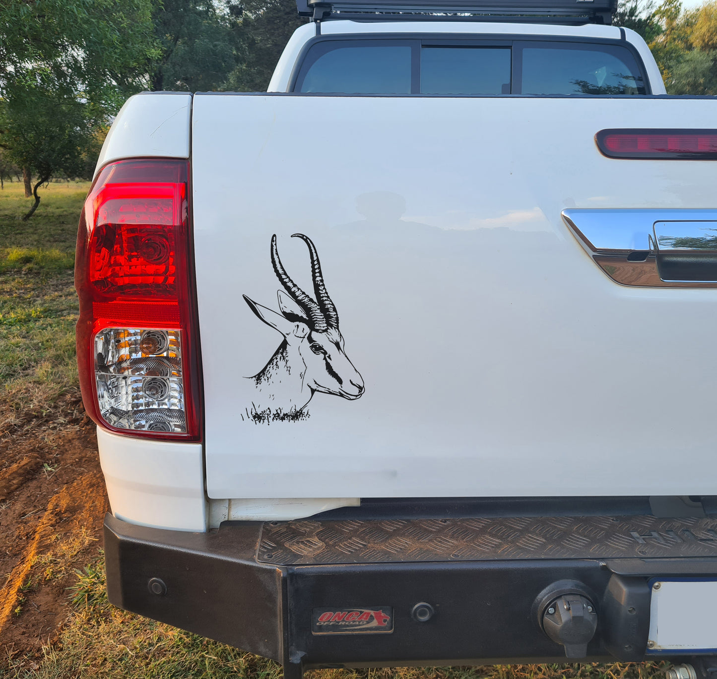 Springbok V5 Car Wall Decal Sticker Art South Africa