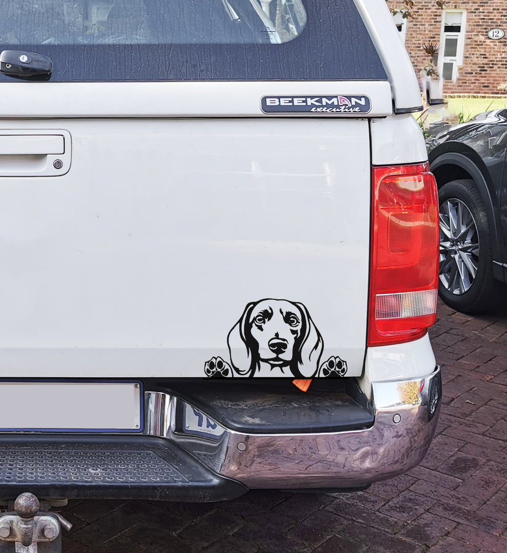 Dachshund Dog Worshond Hond V3 Car Wall Decal Sticker Art South Africa ...