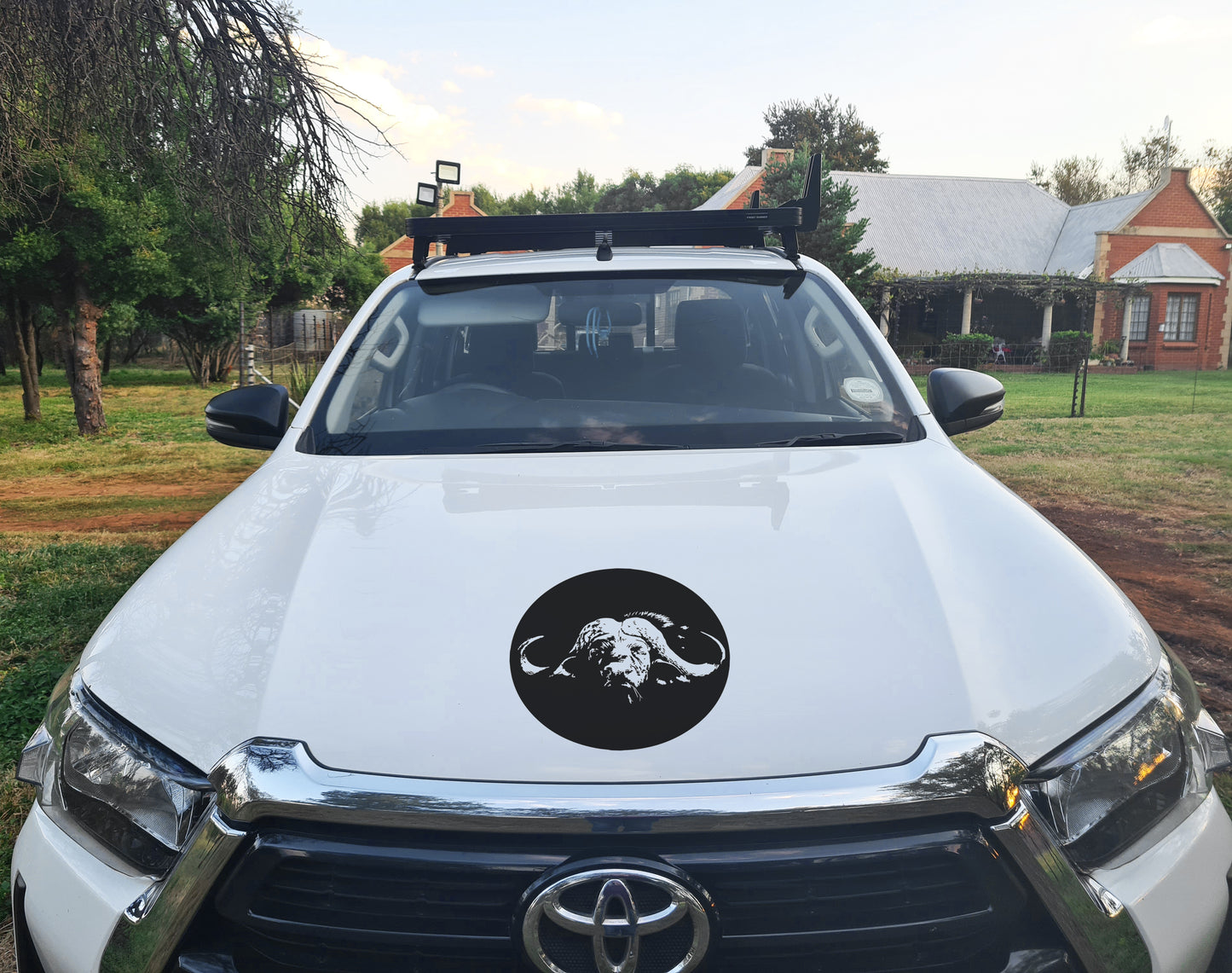 Cape Buffel Buffalo Circle Head Vehicle Wall Vinyl Decal Sticker Art