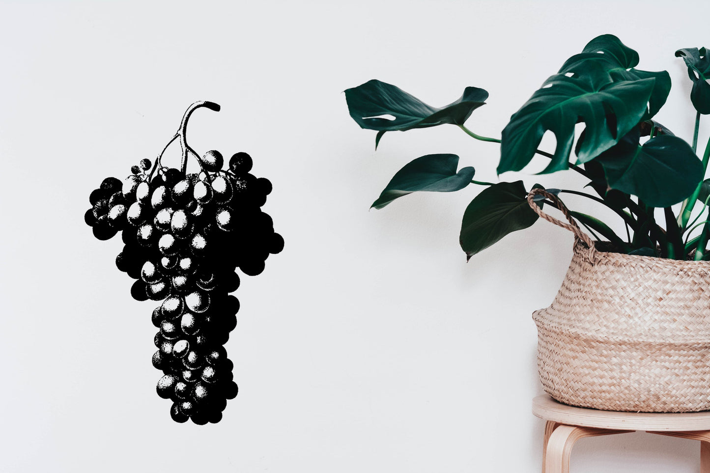 Vineyard Winery Grapes Bakkie, Wall, Kitchen, Lounge, Bathroom Western Cape Cape Town Vinyl Decal Sticker Decor