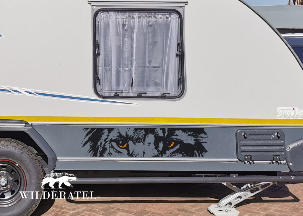 African Lion Leeu Eyes Vehicle Wall Vinyl Decal Sticker Art