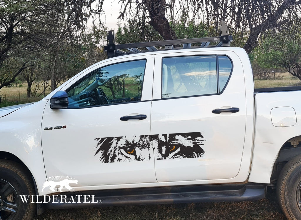 African Lion Leeu Eyes Vehicle Wall Vinyl Decal Sticker Art