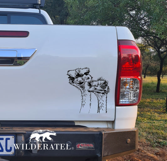 Male and Female Volstruis Ostrich Bakkie Vehicle Vinyl Decal Sticker Kit