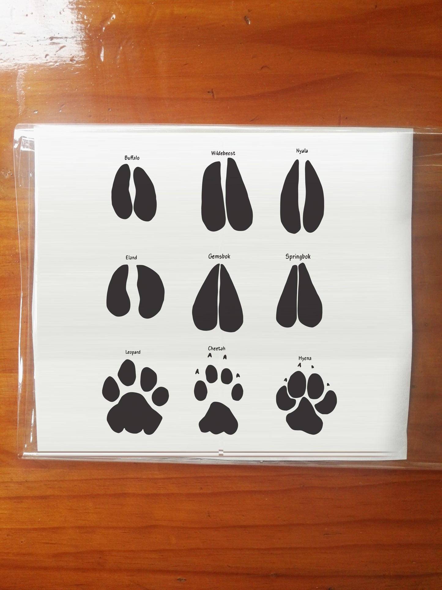 1 set of African Wildlife Paw Tracks Dier Spoor Pote Vinyl Sticker Decal