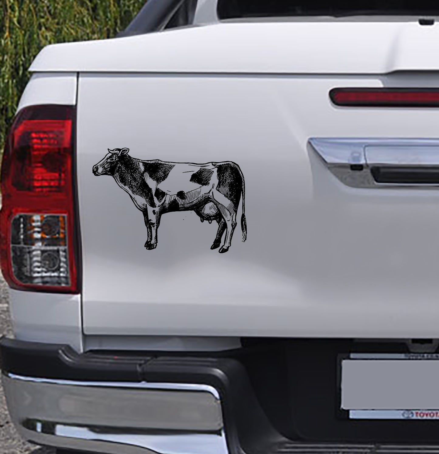 New Zealand Dairy Cow Waikato Vinyl Decal Sticker