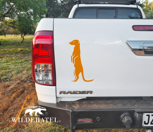 Orange Meerkat for Bakkie Car Vinyl Decal Sticker Kit SA